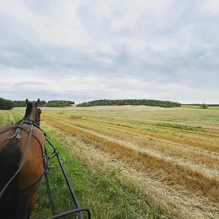 Le Gite De Gaia بيت ضيافة Villemer (Seine-et-Marne)